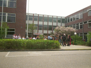 Dutch Student Exchange Option